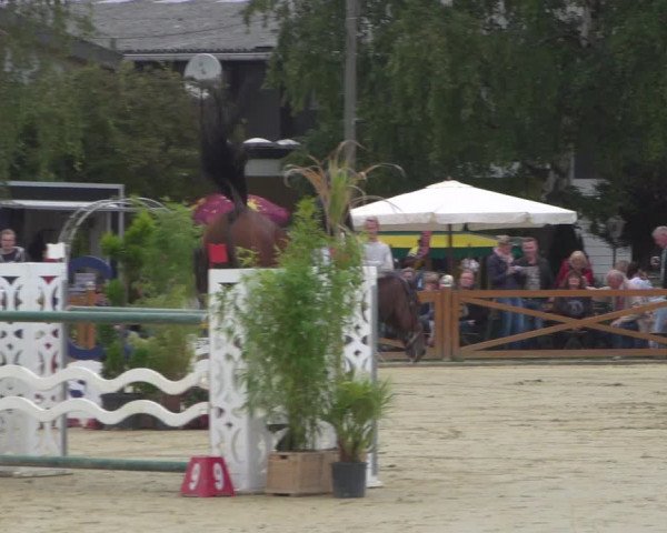 Reitturnier Köln - Reitanlage Brüse 2018