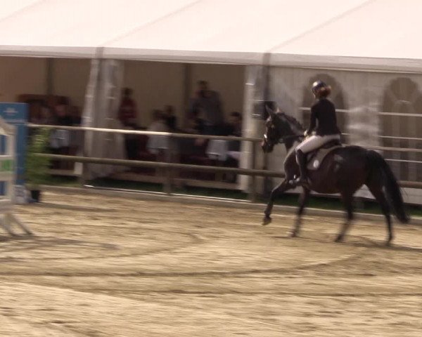 Reitturnier Albersloh 2018