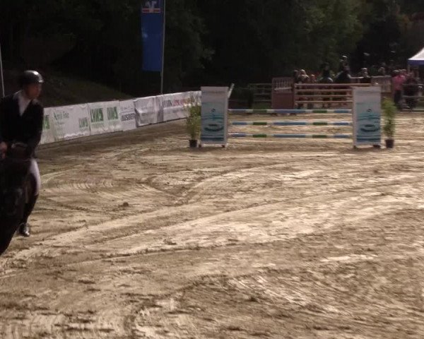 Reitturnier Albersloh 2018