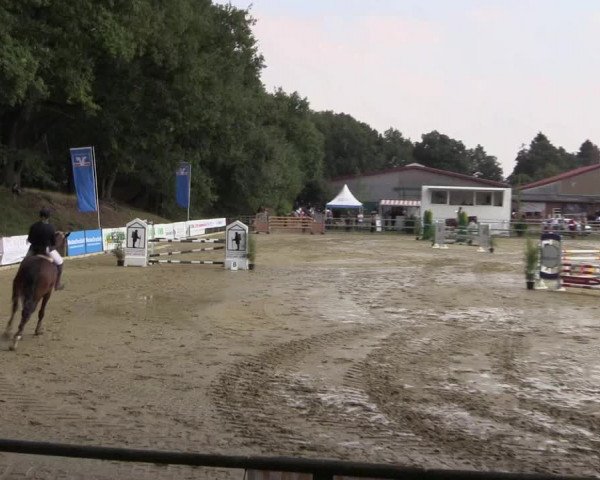 Reitturnier Albersloh 2018