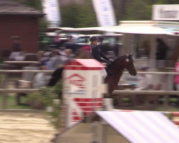 Reitturnier Albersloh 2018