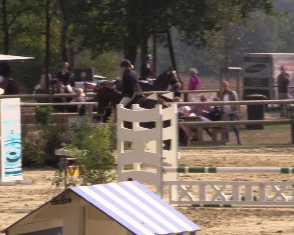 Reitturnier Albersloh 2018