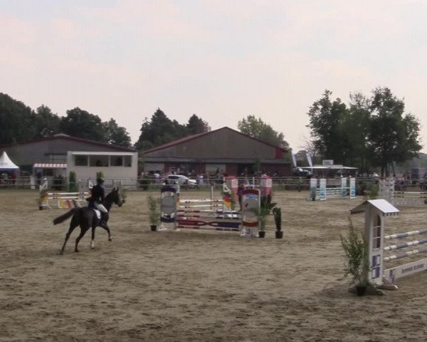Reitturnier Albersloh 2018
