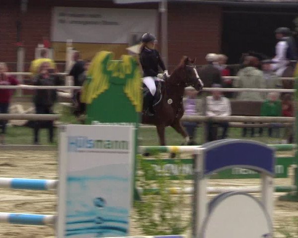 Reitturnier Albersloh 2018