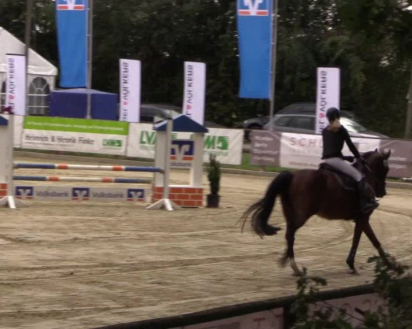 Reitturnier Albersloh 2018