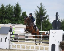 Springpferd Checker Fm (Westfale, 2009, von Chekandino)