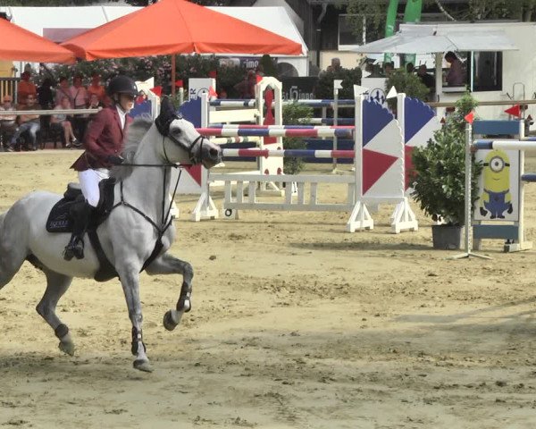 Reitturnier Walldorf/Winterheck 2018