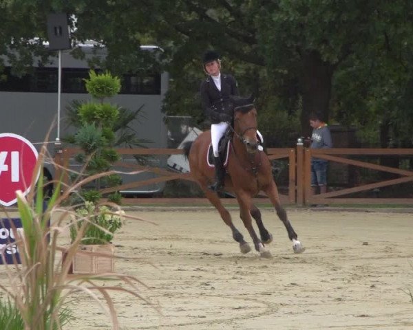 Reitturnier Köln - Reitanlage Brüse 2018