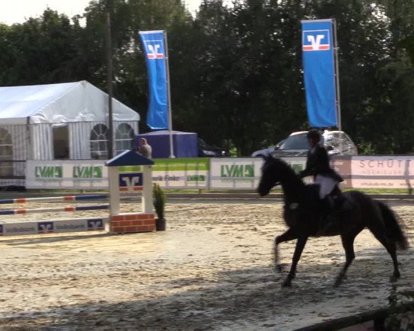 Reitturnier Albersloh 2018