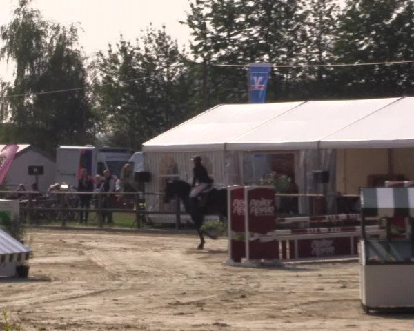 Reitturnier Albersloh 2018