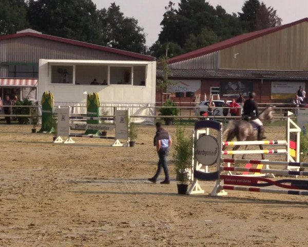 Reitturnier Albersloh 2018