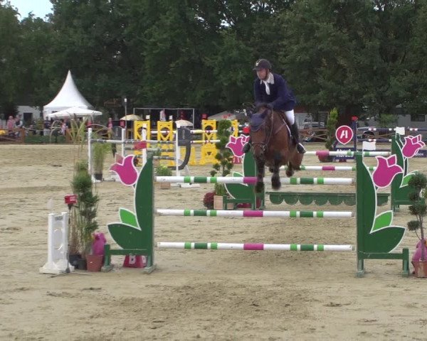 Reitturnier Köln - Reitanlage Brüse 2018