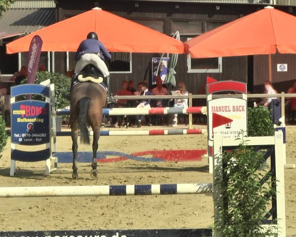 Reitturnier Walldorf/Winterheck 2018