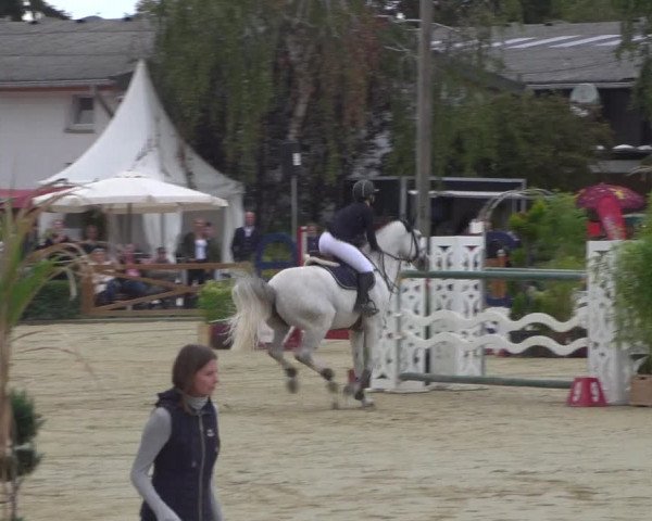 Reitturnier Köln - Reitanlage Brüse 2018