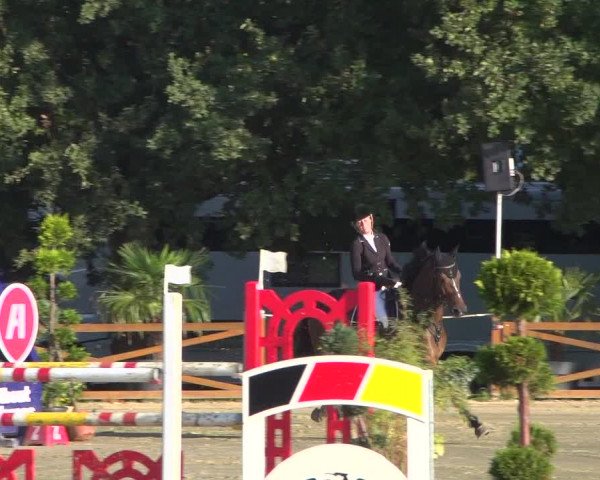 Reitturnier Köln - Reitanlage Brüse 2018