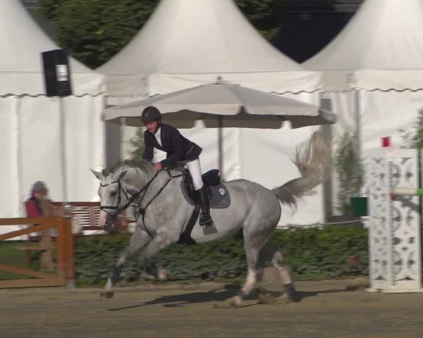 Reitturnier Köln - Reitanlage Brüse 2018