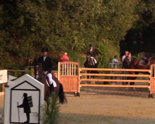 Reitturnier Albersloh 2018