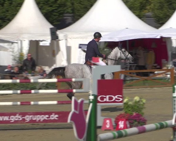 Reitturnier Köln - Reitanlage Brüse 2018