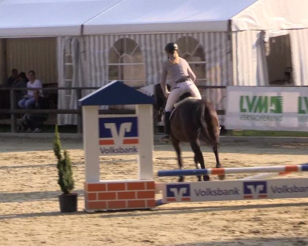 Reitturnier Albersloh 2018