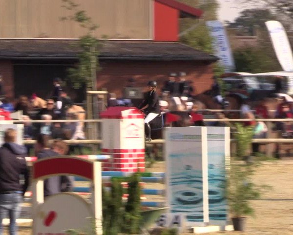 Reitturnier Albersloh 2018