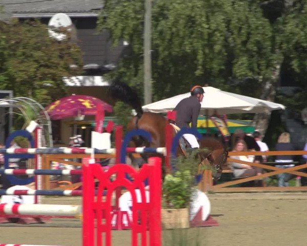 Reitturnier Köln - Reitanlage Brüse 2018