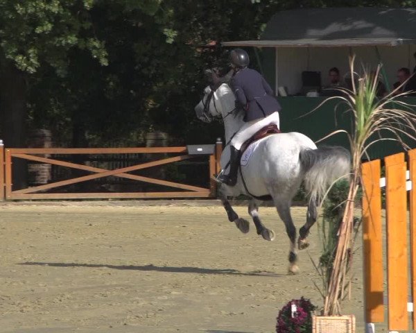 Reitturnier Köln - Reitanlage Brüse 2018