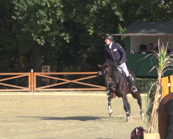 Reitturnier Köln - Reitanlage Brüse 2018
