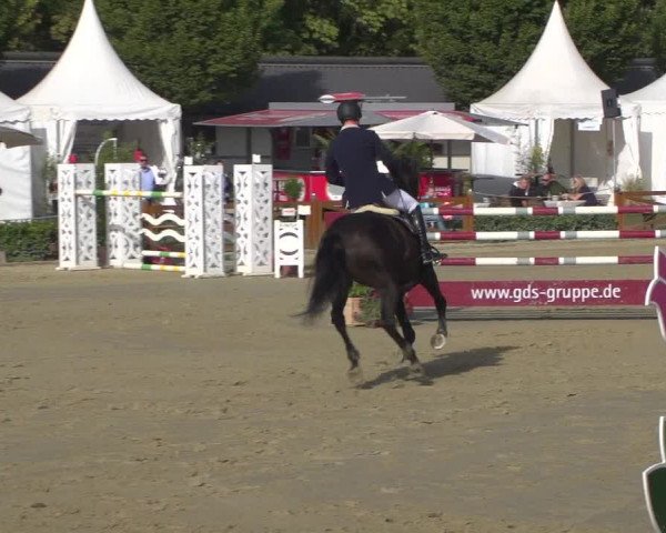 Reitturnier Köln - Reitanlage Brüse 2018