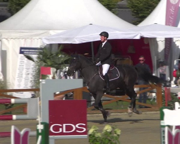 Reitturnier Köln - Reitanlage Brüse 2018