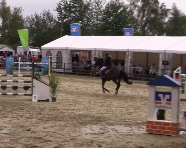 Reitturnier Albersloh 2018