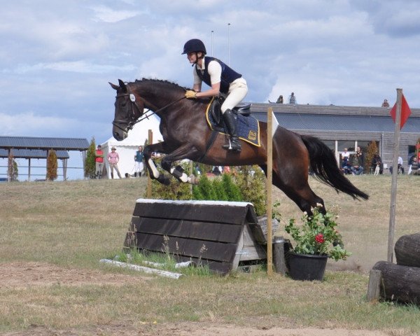 jumper Pamina (Trakehner, 2010, from Iskander)