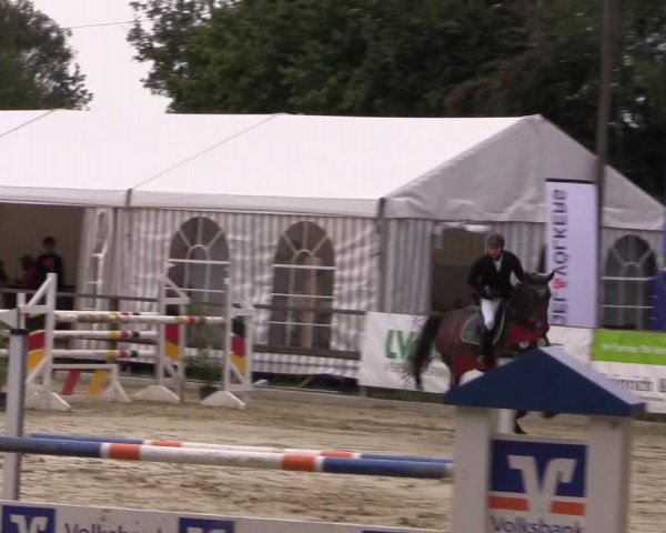 Reitturnier Albersloh 2018