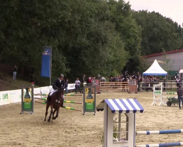 Reitturnier Albersloh 2018