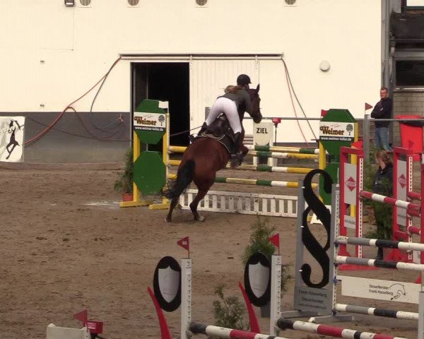 Reitturnier Siegen 2018