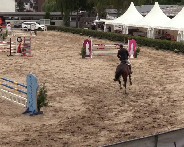 Reitturnier Siegen 2018
