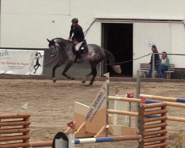 Reitturnier Siegen 2018