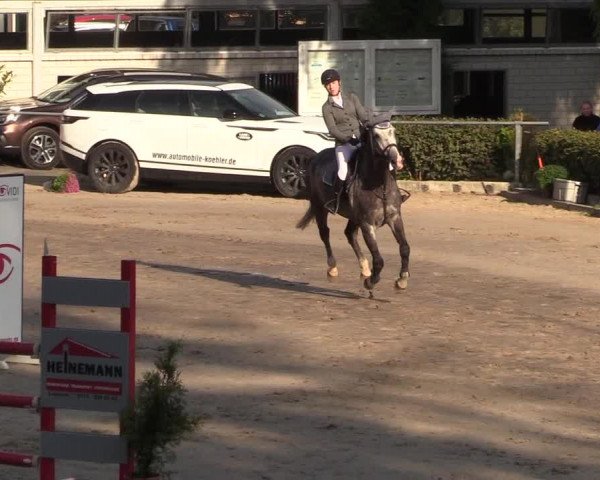 Reitturnier Siegen 2018