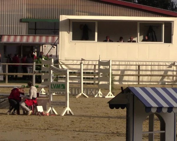 Reitturnier Albersloh 2018