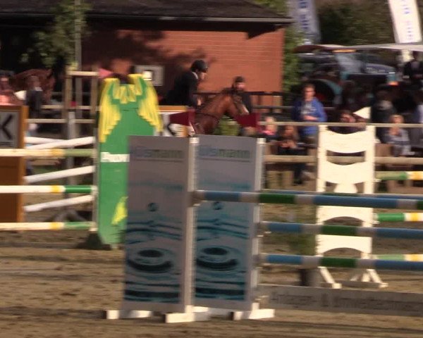 Reitturnier Albersloh 2018