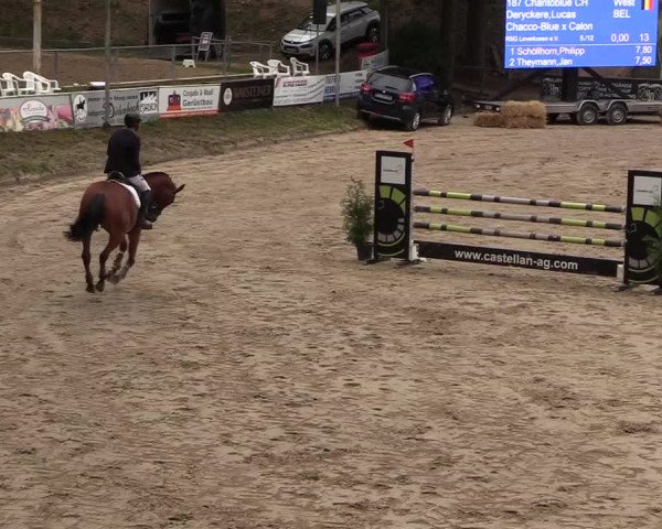 Reitturnier Siegen 2018