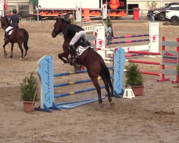 Reitturnier Siegen 2018