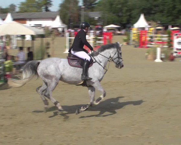 Reitturnier Köln - Reitanlage Brüse 2018