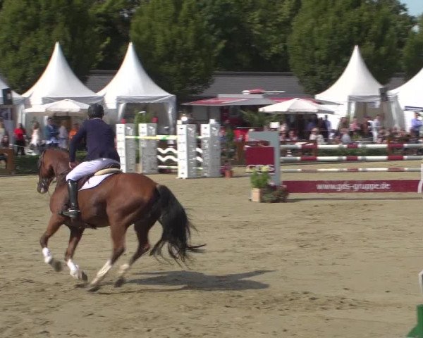 Reitturnier Köln - Reitanlage Brüse 2018