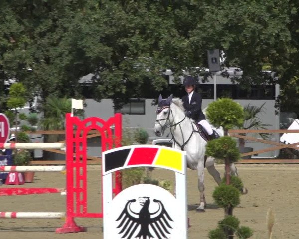 Reitturnier Köln - Reitanlage Brüse 2018