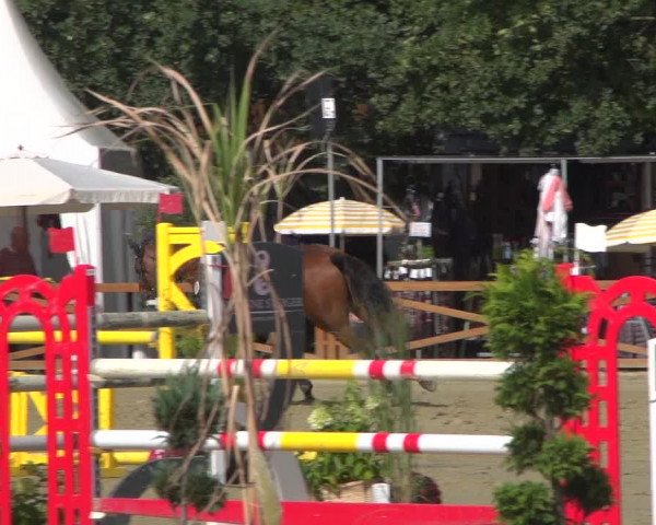 Reitturnier Köln - Reitanlage Brüse 2018