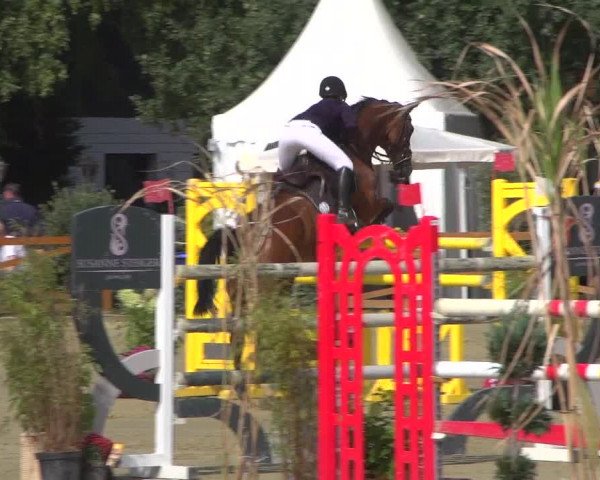 Reitturnier Köln - Reitanlage Brüse 2018
