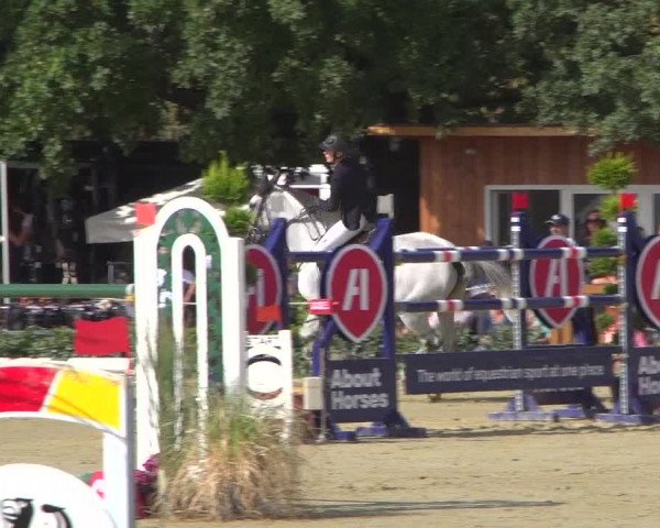 Reitturnier Köln - Reitanlage Brüse 2018
