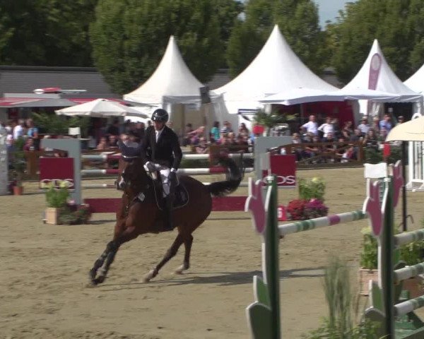 Reitturnier Köln - Reitanlage Brüse 2018