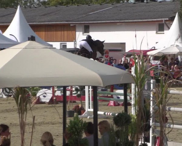 Reitturnier Köln - Reitanlage Brüse 2018