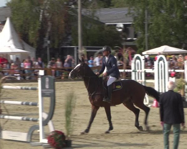 Reitturnier Köln - Reitanlage Brüse 2018